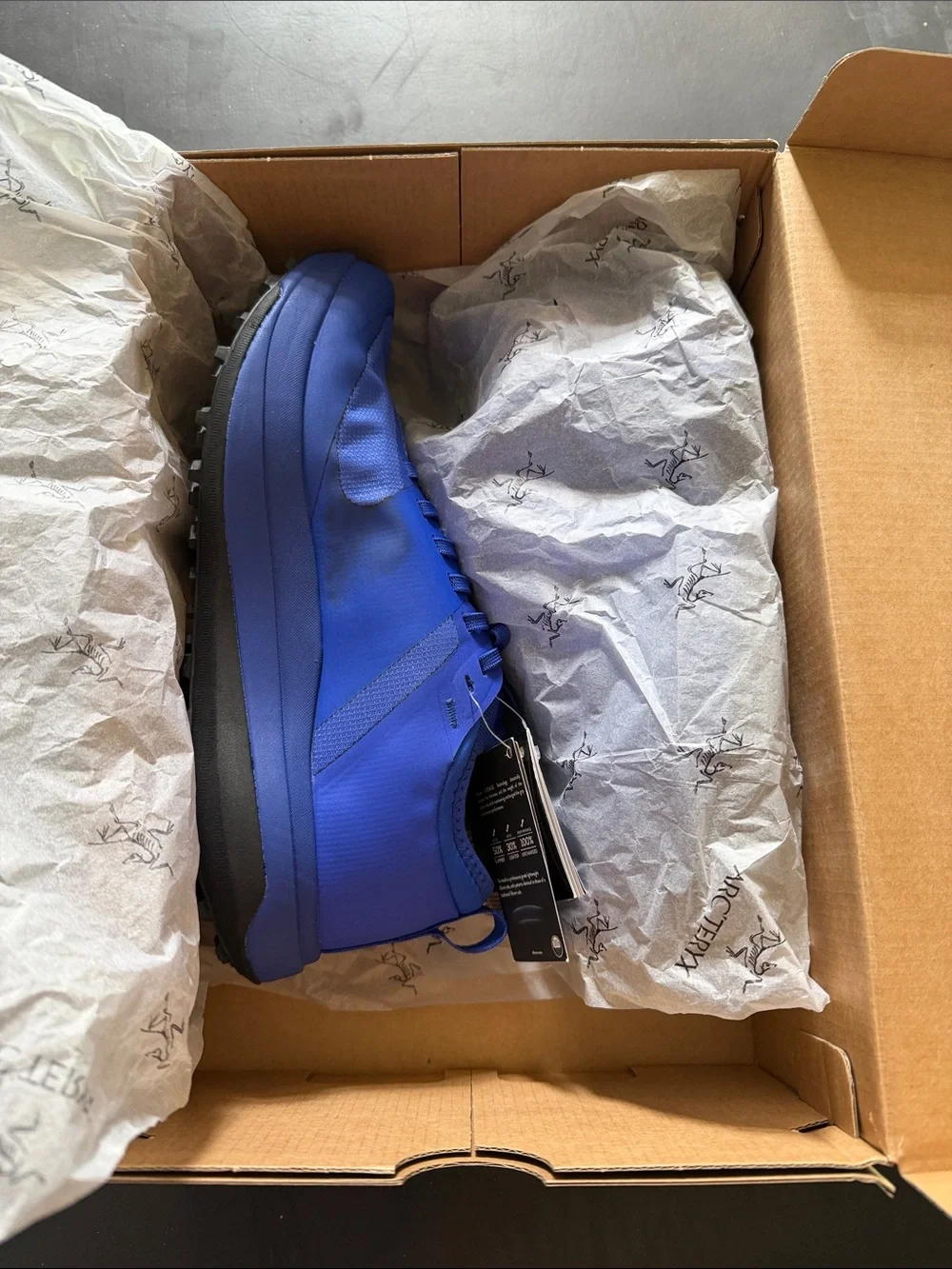 Arc'teryx women’s sylan GTX shoe-Electric Indigo/DK